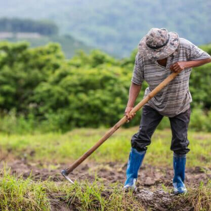 Estudo evidencia envelhecimento ativo e protagonismo da pessoa idosa no meio rural goiano